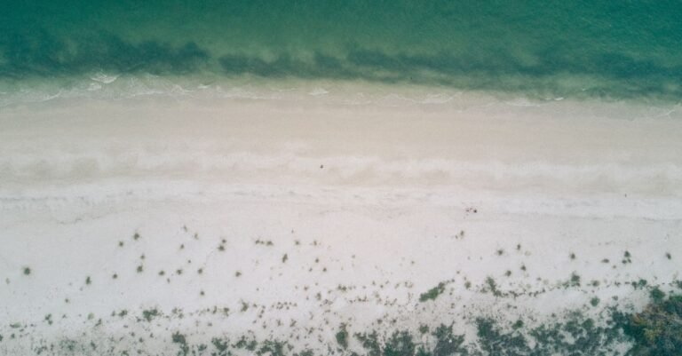 A tranquil aerial view of a serene beach with clear water and soft sand.